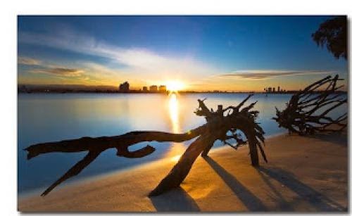 Love Psychic Advice Can Readings Help You To Trust Once More
