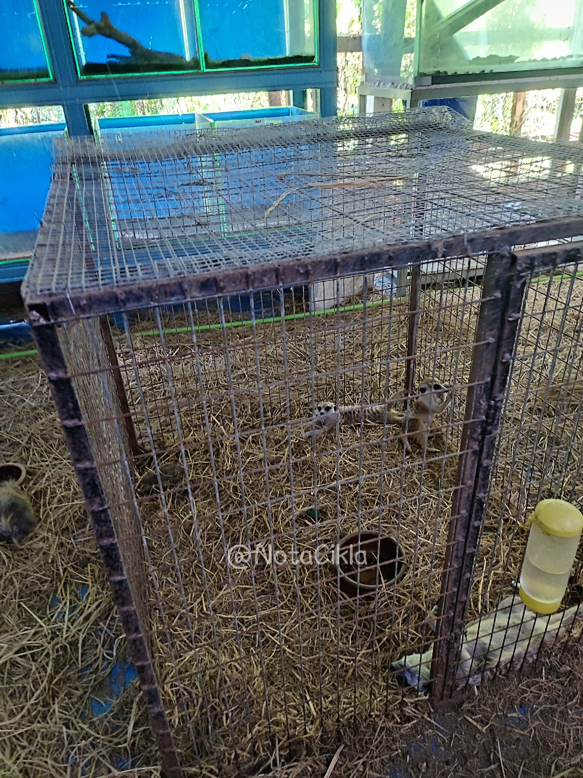 Husin Fauzi Farm; taman haiwan yang mesti dikunjungi kalau ke Kuala Selangor.