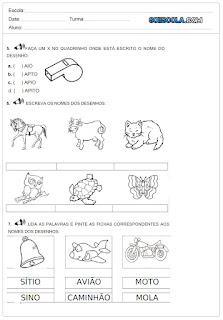 avaliação diagnostica 1 ano