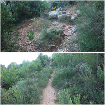 GR-7 LA RIBA A CABRA DEL CAMP, corriol per la vessant dreta de la Serra del Mas Grasset