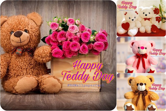 Teddy Day Wish Images