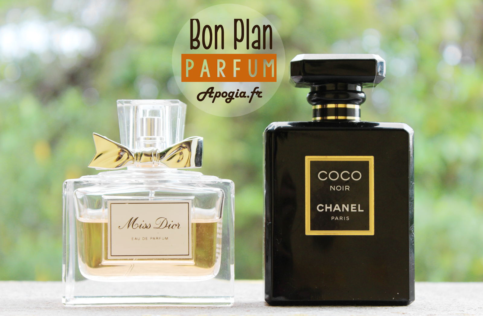 Sucre  cOco Des parfums  de luxe  prix mini c est 