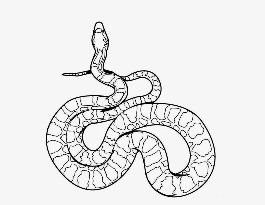 Snake Printable Coloring Pages 5