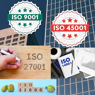 Progam ISO Sintegral