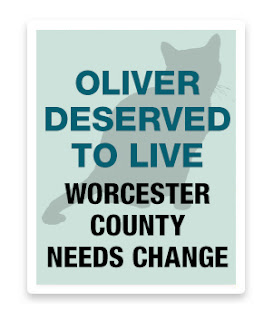 http://news.alleycat.org/2016/07/11/speak-out-save-oliver-the-cat-in-worcester-maryland/