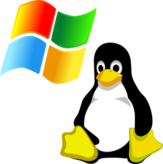 Things you must do if you've dual booted your PC with Windows and Linux