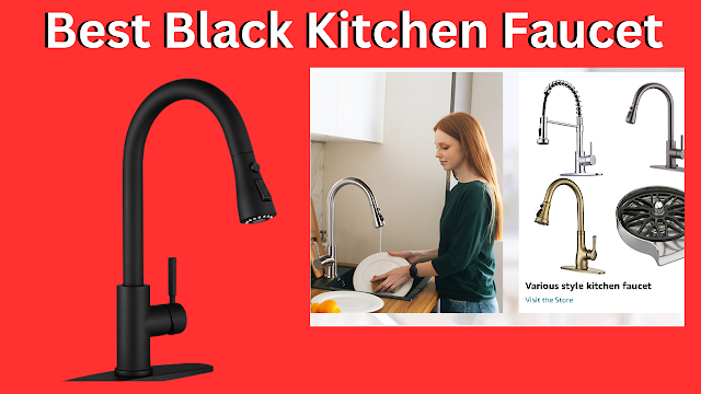 WEWE Black Kitchen Faucet