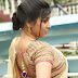 Saree in Curve Beauty