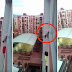 Heroic Man Risks His Life To Save Dog Hanging From Balcony Of High Rise