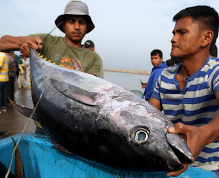 Pasar Ikan