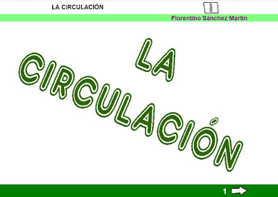http://www.ceiploreto.es/sugerencias/cplosangeles.juntaextremadura.net/web/sexto_curso/naturales_6/circulacion_6/circulacion_6.html