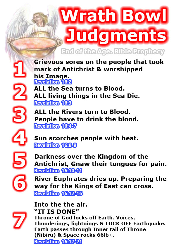 seven bowl wrath judgments, rfids chip, sores, worship beast, image, right hand or forehead, rivers fountains, turned blood red, sea, creature in sea died, drink blood, sun scorches heat, blasphemy,  river euphrates dries up, king of the east, evil trinity, dragon beast and false prophet, devils, great day of god almighty, thief, place called Armageddon, hebrew tongue, pour, air, great voice from heaven, "it is done" lightning and voice thunders, great earthquake, great city split three parts, nations fall, great babylon, rome, mountains islands,  Pastor Prophet Justin Roberts - End of the age bible prophecy