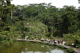 People tour the Botanists' Boardwalk at the Keppel Discovery Wetlands