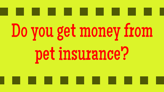 Do you get money from pet insurance?