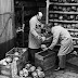 1948 ,Packing up human skulls