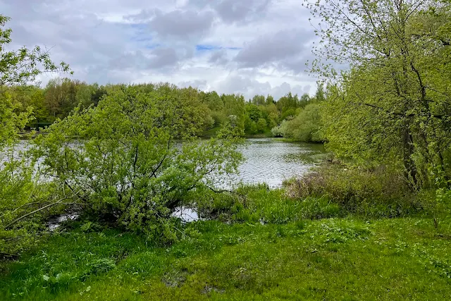 парк Левобережный, Химкинское водохранилище, залив Воробьёвка