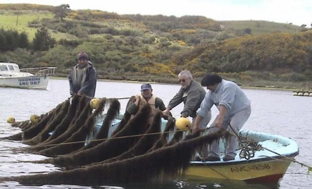 Pescadores artesanales