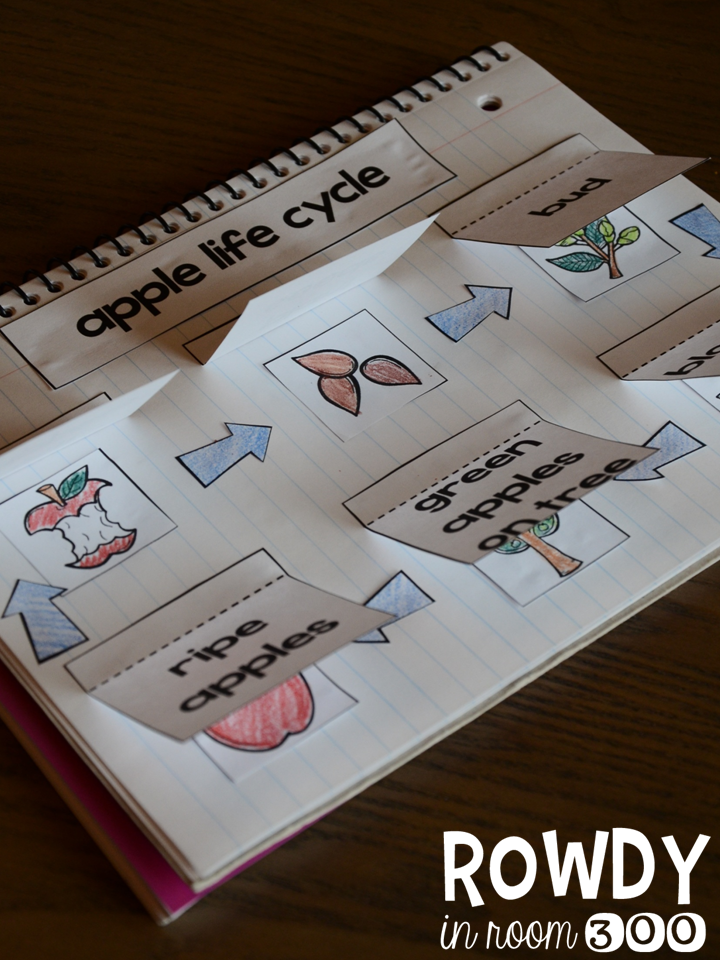 http://www.teacherspayteachers.com/Product/Apples-For-Everyone-Reading-Math-and-Interactive-Notebooking-1458449