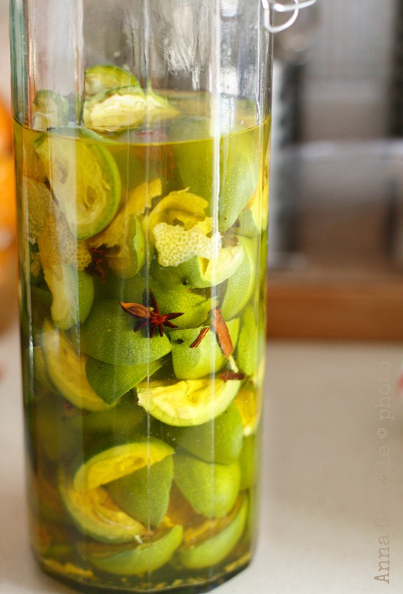 noci x nocino in infusione