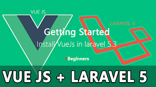 Laravel 5 Vue Js Tutorial : How to Install Vue Js & Getting start in laravel 5