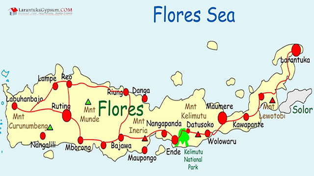 pulau flores