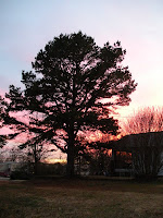 tree sunset porch arkansas