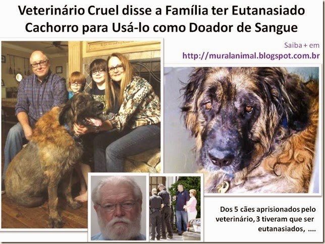 Veterinário Cruel disse a Família ter Eutanasiado