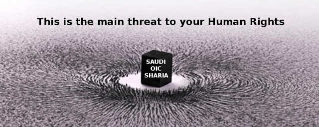 This (via Saudi steered sharia finance) is the biggest threat to your Human Rights