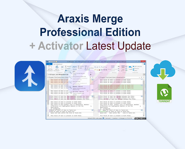 Araxis Merge Professional Edition 2024.5981 + Activator Latest Update