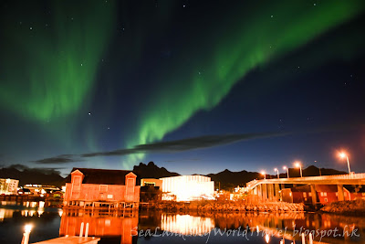 Svolvaer Svinoya Rorbuer, 挪威,  羅浮敦群島, 北極光, aurora, northern light