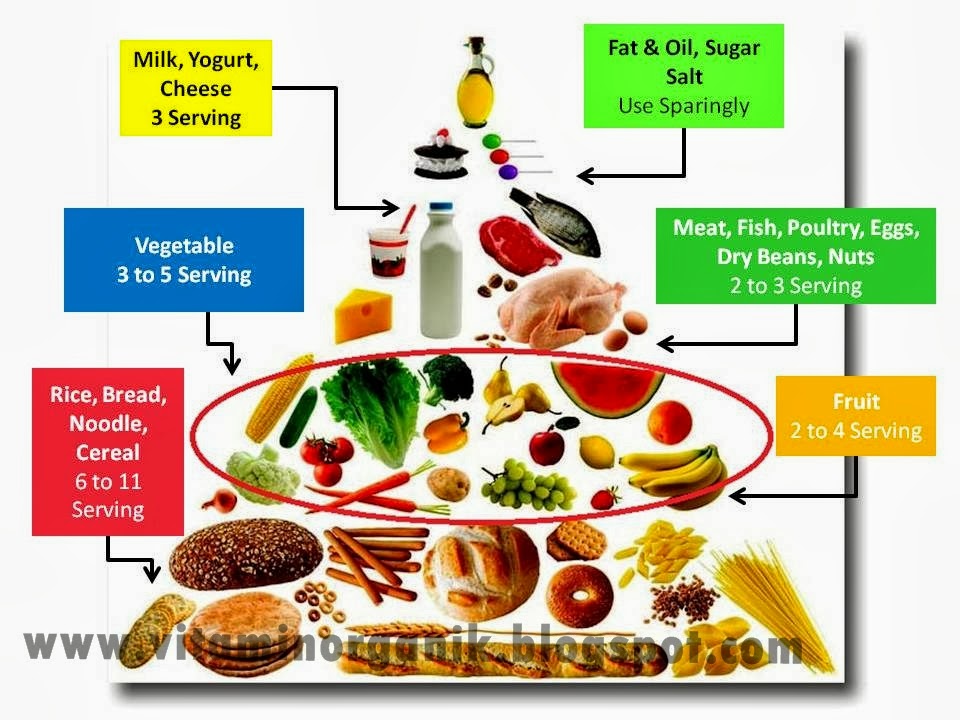 Pemakanan Sihat Ibu Mengandung - vitaminorganik.com