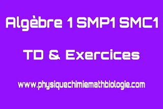 Exercices Corrigés Algèbre 1 SMPC1 FST SMIA1 PDF