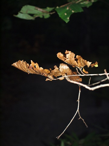 P1011859