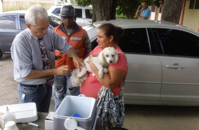 realizan-jornada-de-vacunacion-mascotas-la-villa