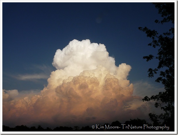 Cloud Closer