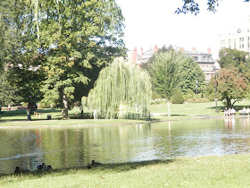 Public Garden Boston