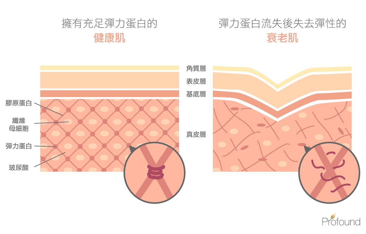 魔方電波魔方電波價格魔方電波肚子價格魔方電波效果魔方電波費用魔方電波ptt魔方電波恢復期魔方電波魔方電波費用魔方電波腹部肚皮魔方電波高雄profound魔方電波魔方電波 價位逆齡除皺溫感針除皺消橘皮黃金三秒鐘拉提消脂雙下巴大腿肉產後鬆弛瘦身後鬆弛腹部下顎線下巴小v臉拉提保養