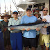 Cabo San Lucas Fishing Report Nov 14-20, 2015
