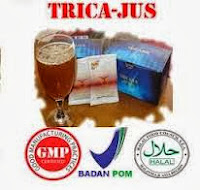 obat herbal sipilis