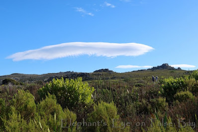 Lenticular clouds