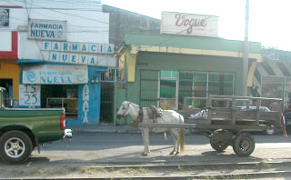 Horse and cart, La Ceiba, Honduras