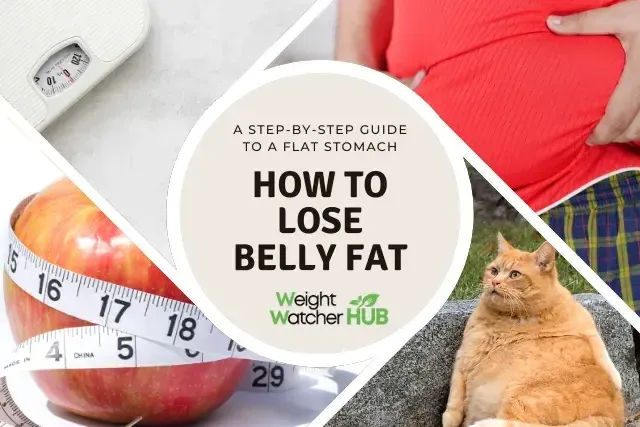 Lose belly fat quickly