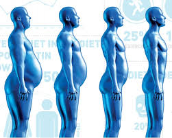 The Art and Science of Weight Management: