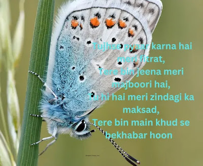 Teri Yaadon Mein Kho Jata Hoon,Emotional Love Shayari