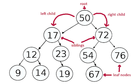 How to Print all leaf Nodes of a Binary tree in Java - Coding Interview Questions