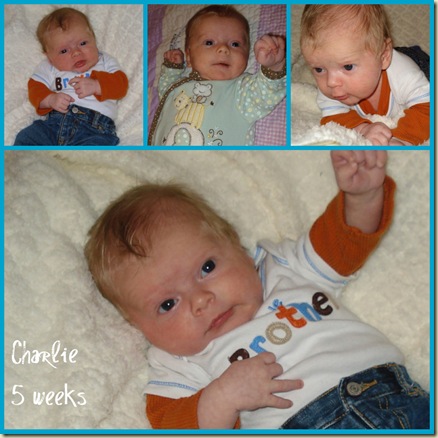 Charlie 5 weeks collage