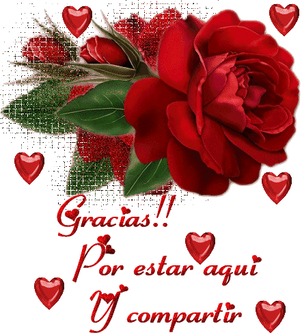 rosa018
