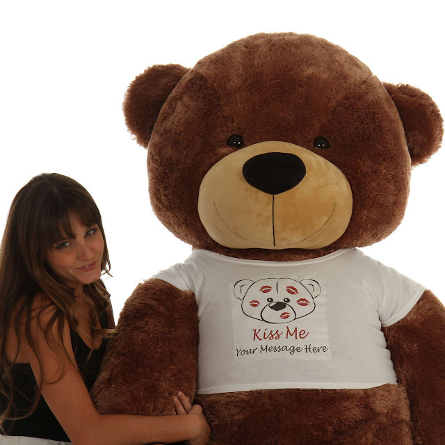 Valentine's Day Teddy Bear in a Kiss Me shirt design