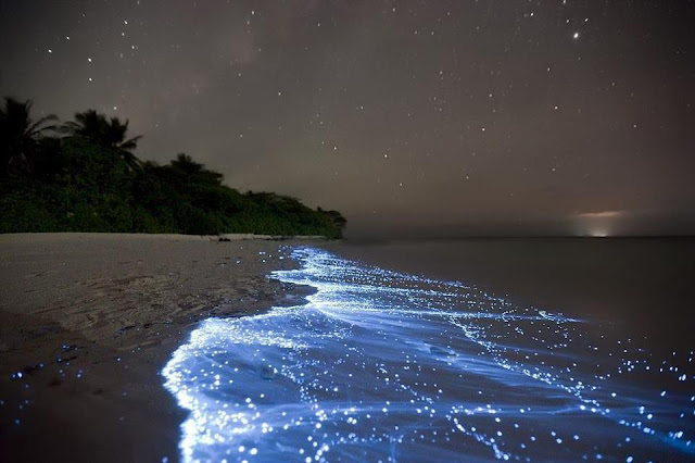 Resultado de imagen de SUEÑOS SANADORES. SOMOS FUENTE EN ACCIÓN MAGIA ONÍRICA.