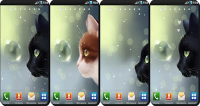 Baixar Download wallpaper Gato curioso - Curious Cat para Android